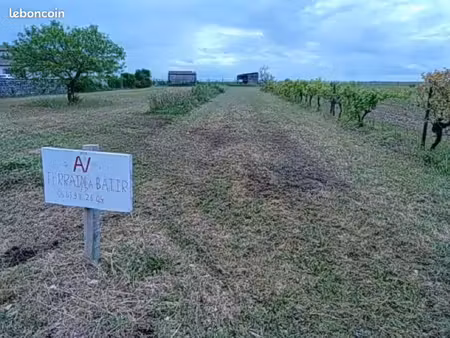 terrain 2006 m2