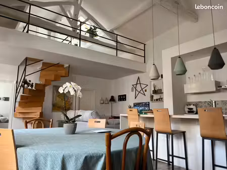 bel ensemble immobilier : loft atypique et appartement dans une grande maison de ville
