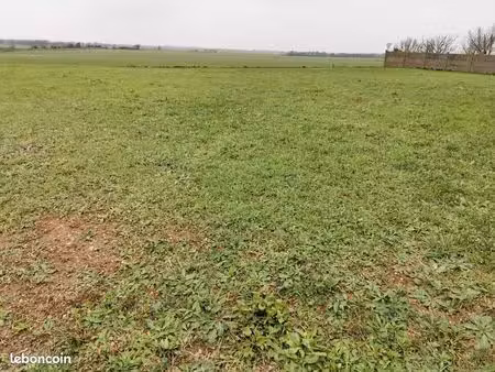 terrain à bâtir de 374 m² à angliers (17)