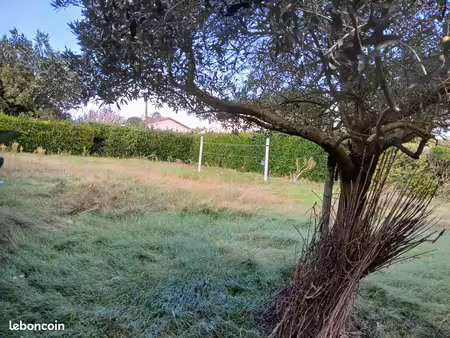 terrain rare à cozes hors lotissement