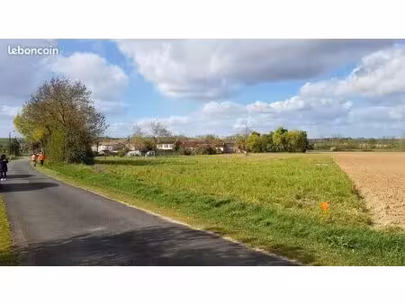 terrain constructible