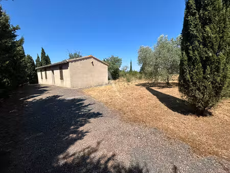 maison de plain pied à carcassonne avec jardin