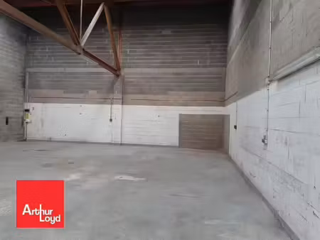 location local d’activités luce 28110 166m²