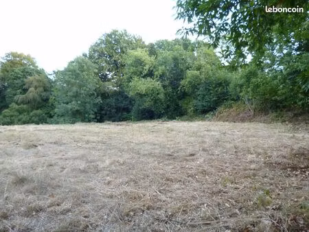 tregor terrain constructible 2000m2