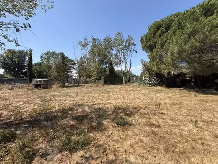 terrain