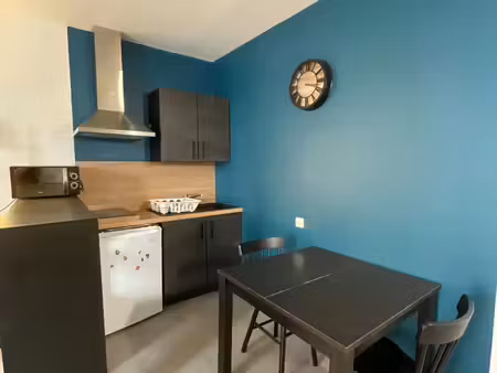 location appartement 1 pièces 28m2 pau 64000 - 499 € - surface privée