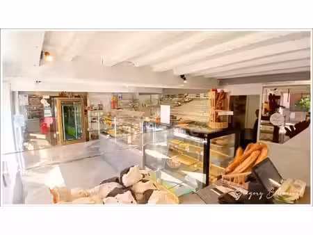 local professionnel à vendre lesquin 6 pièce(s) 331m2 364 000€