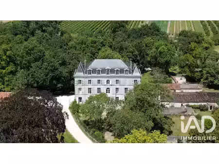 vente château 16 pièces