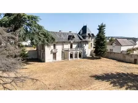 demeure historique à rénover avec parc en bord de vienne
