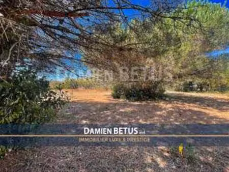 vente terrain à la chaize-giraud (85220) : à vendre / 1108m² la chaize-giraud