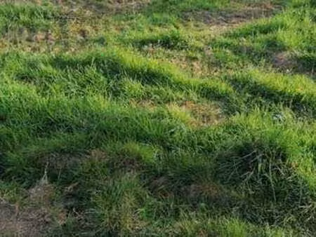 vente terrain à baud (56150) : à vendre / baud