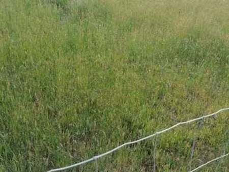 vente terrain à merlevenez (56700) : à vendre / merlevenez