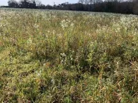 vente terrain à sainte-sève (29600) : à vendre / sainte-sève
