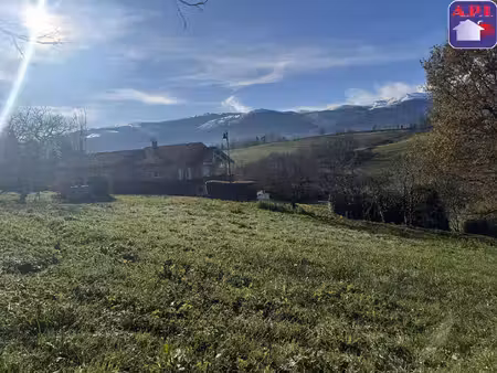 terrain