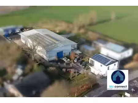 te huur maldegem | ruime werkplaats of opslagruimte met rolbruggen 600+200m²