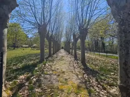 vente maison 5 pièces à brach (33480)  369 000 €