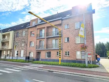 appartement te huur in oostmalle met 2 slaapkamers