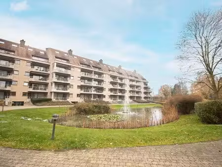 appartement te huur in wilrijk met 2 slaapkamers