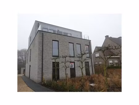 appartement te huur in oelegem met 2 slaapkamers