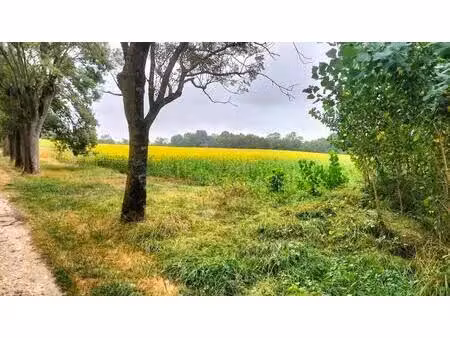vente terrain 400000 m² puycasquier (32120)