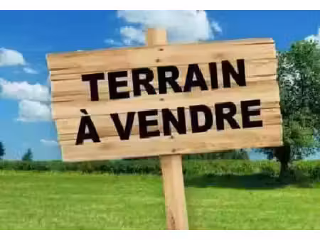 vente terrain 5242 m² villebarou (41000)