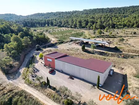 ref - vignoble4 -minervois - campagne avec bâtiment de +- 680m2 au total   hangar +terres
