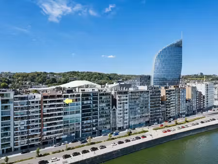 quai de rome - appartement 1ch avec 2 terrasses