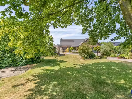 maison à vendre à bree € 539.000 (lqtk2) - vercammen woonprojecten | zimmo