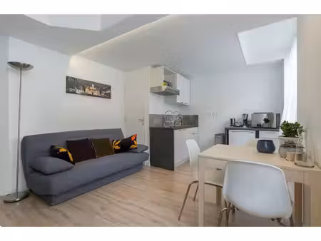 location appartement 1 pièce 29 m² à lyon 1 (69001)