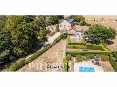maison avec piscine et jardin frossay (44)