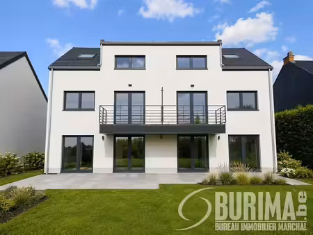 duplex à louer à rue du coq 33 anderlues (vbe53816)