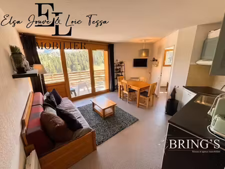 magnifique t2 de 39 m² exposé sud