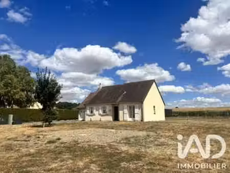 vente maison à brizay (37220) : à vendre / 77m² brizay