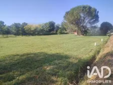 vente terrain à montauban (82000) : à vendre / 1129m² montauban