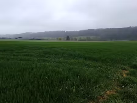 terrain à vendre