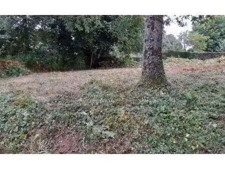 terrain constructible à vendre