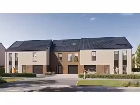chièvres lot n° 9