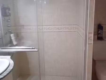 appartement t2 plein centre