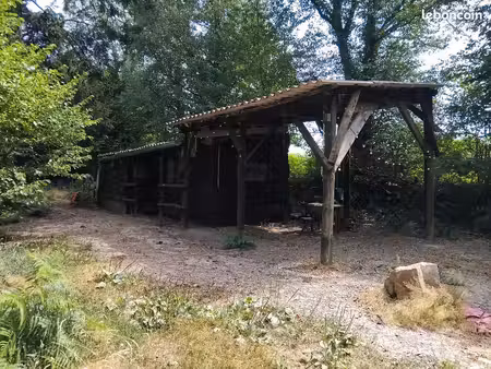 terrain d'agrément avec chalet 1000 m2 brix saint jouvin