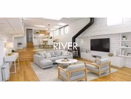 péniche puteaux (92)