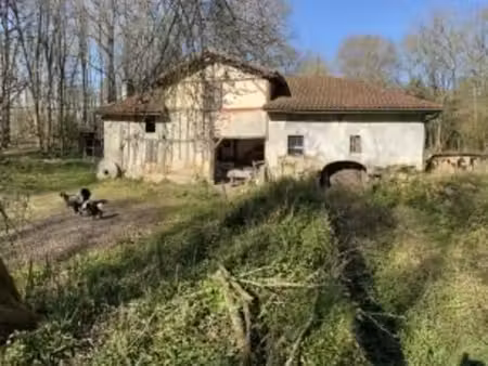 moulin 7 pièces avec chênaie d'environ 6 hectares