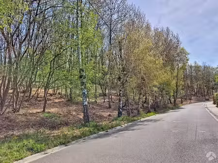bois de la pierre à wavre - terrain à bâtir