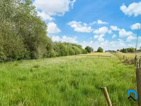 terrain agricole