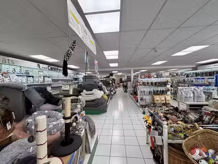 vente local commercial