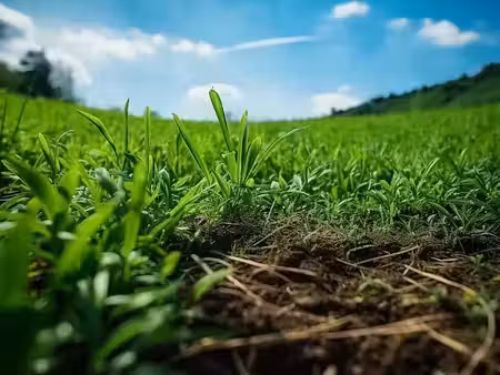 vente terrain 850 m² à anteuil (25340)  51 835 €