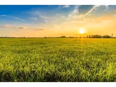 vente terrain 850 m² à anteuil (25340)  50 500 €