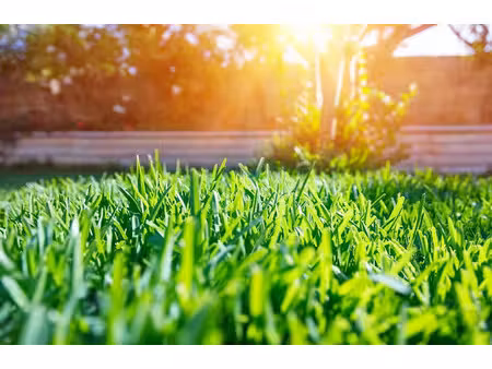 vente terrain 500 m² à désandans (25750)  49 497 €