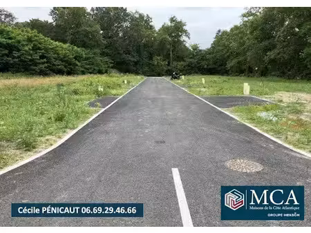 vente terrain 626 m² à sort-en-chalosse (40180)  72 000 €
