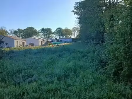 vente terrain 630 m² à les brouzils (85260)  68 000 €