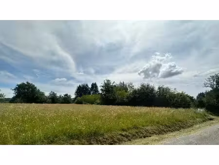 vente terrain 6370 m² à madranges (19470)  53 500 €